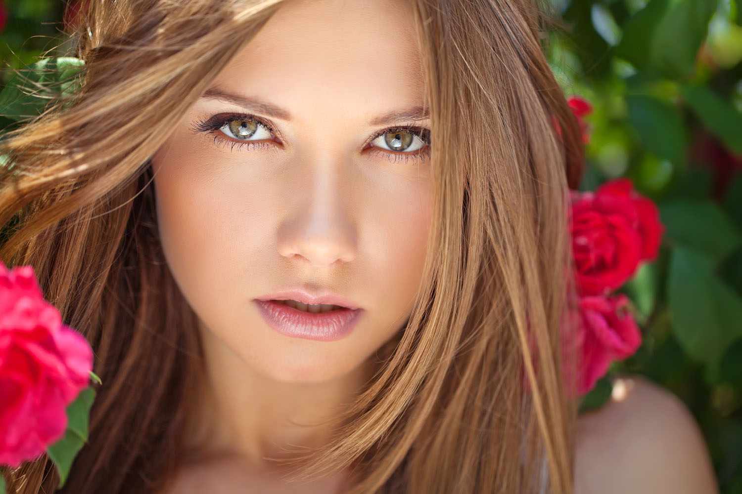 SS 198727172 Auburn Beauty