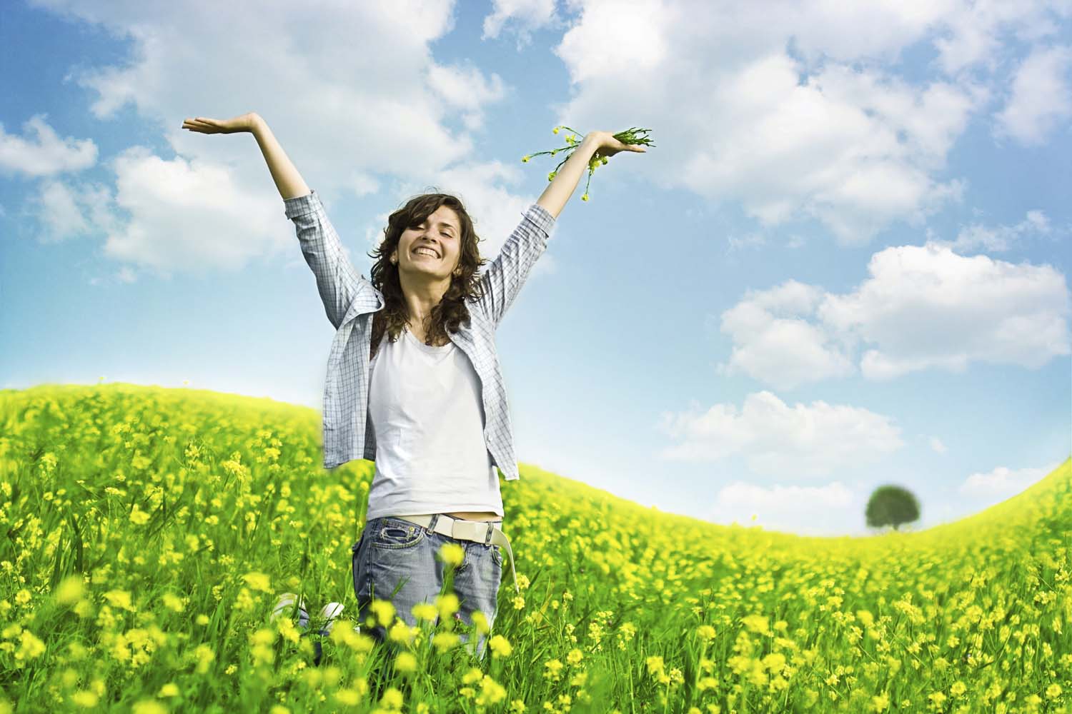 iStock 5617265 IV Whoo Hoo